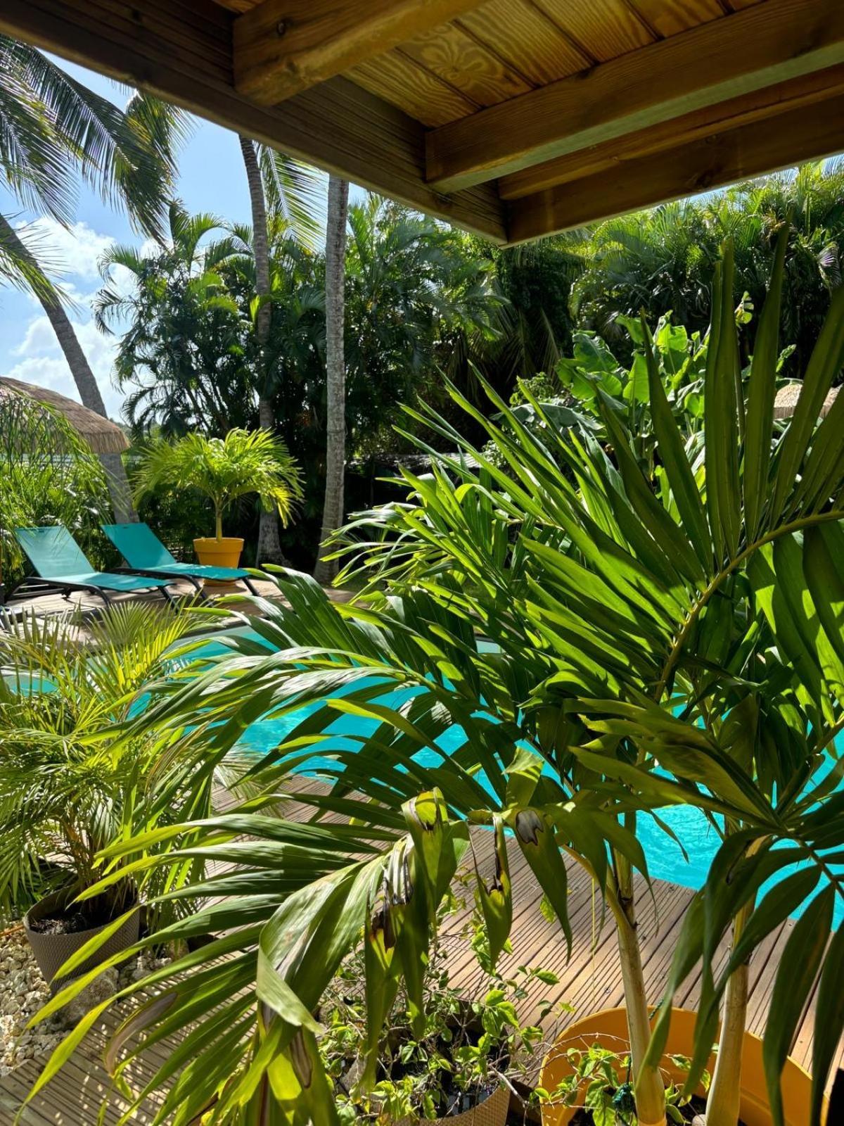 Le Petit Havre Tropical Guadeloupe, Gite, Massages & Spa سانت فرانسوا المظهر الخارجي الصورة
