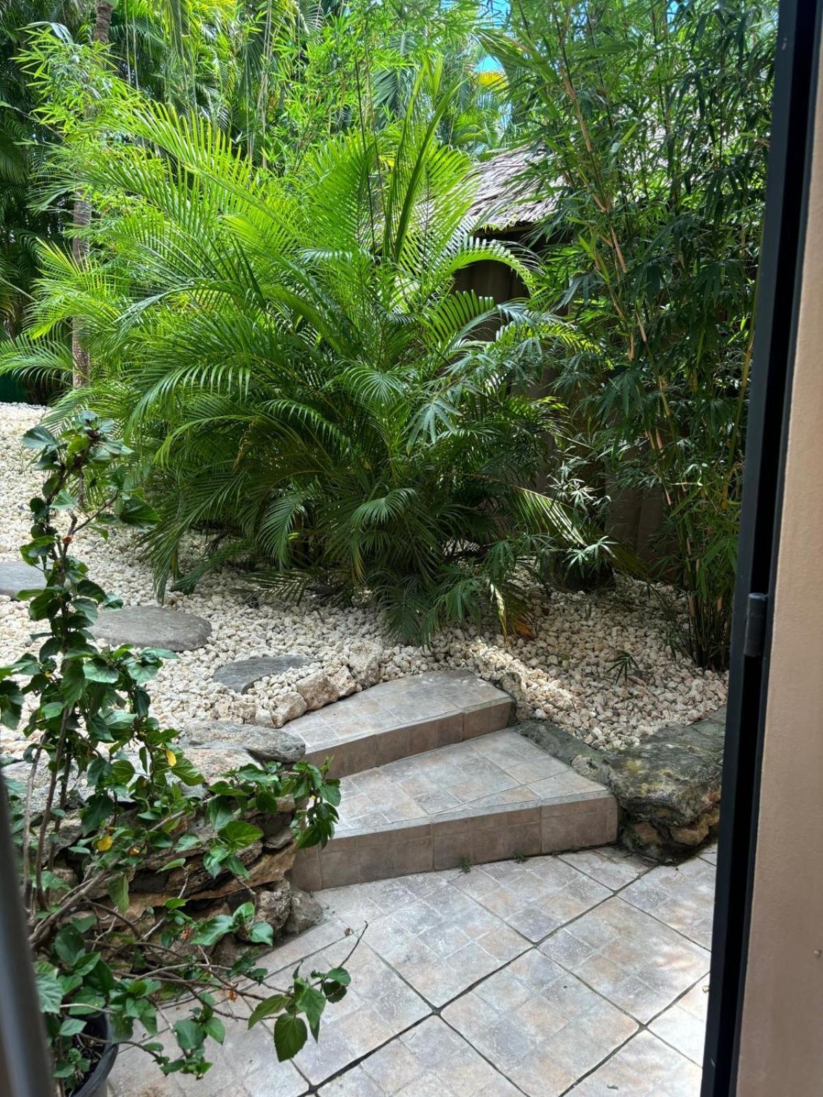 Le Petit Havre Tropical Guadeloupe, Gite, Massages & Spa سانت فرانسوا المظهر الخارجي الصورة